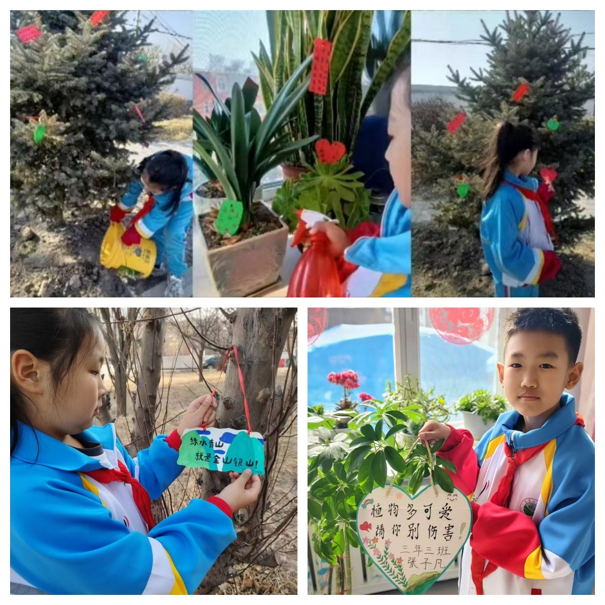 1741919824686076.jpg 元宝山区元宝山小学植树节活动照片13_副本3.jpg
