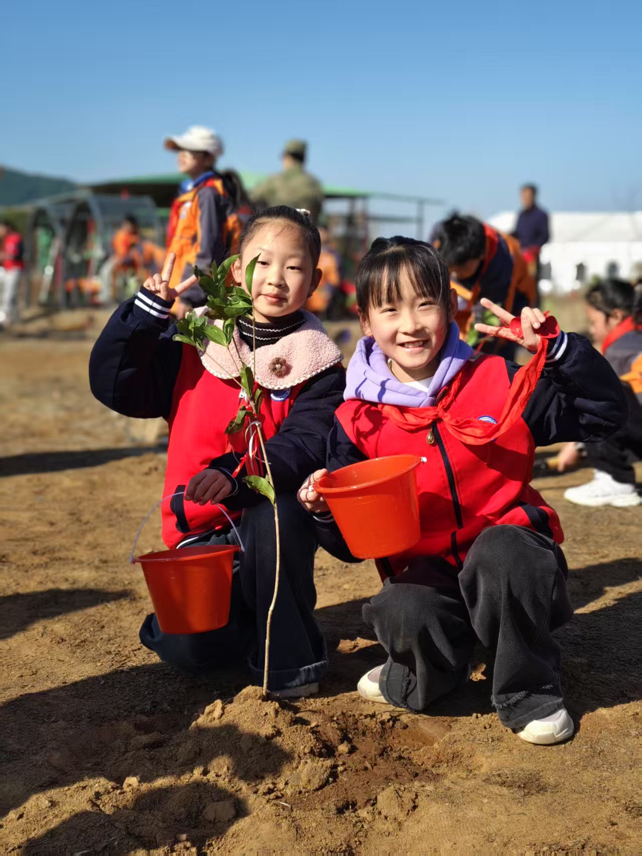 1742284999826724.jpg ec61016b3f8e79862b03132cf53b202.jpg