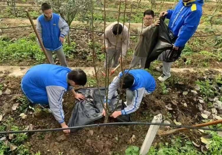 1743034261810561.jpg 2.jpg