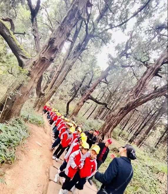 1743401328338130.jpg 3.jpg