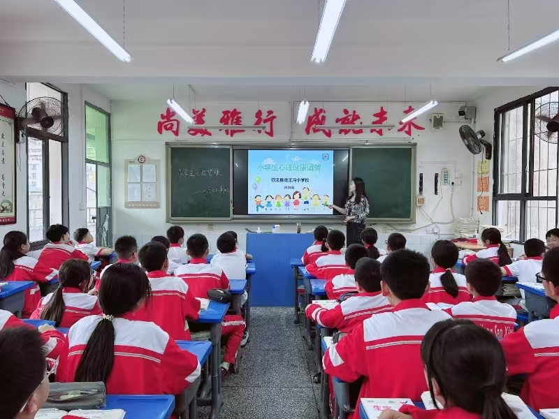 1745213545828117.jpg 11.jpg