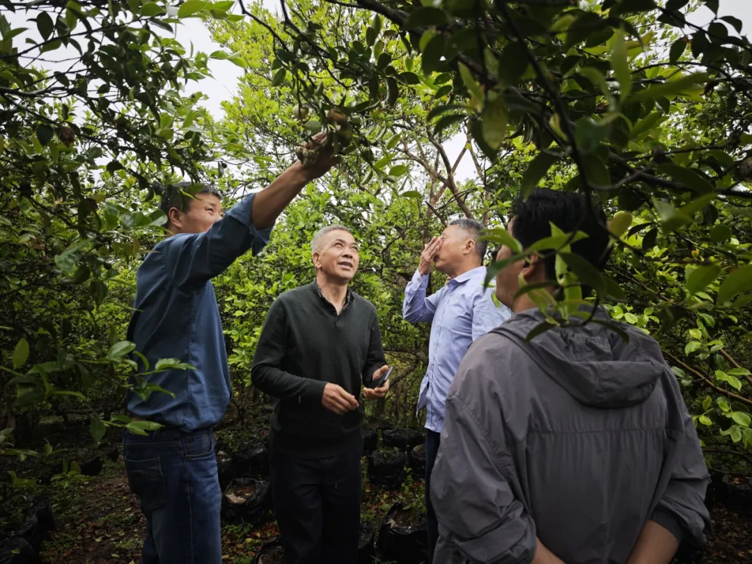 1745456000159458.webp 640 (2).webp