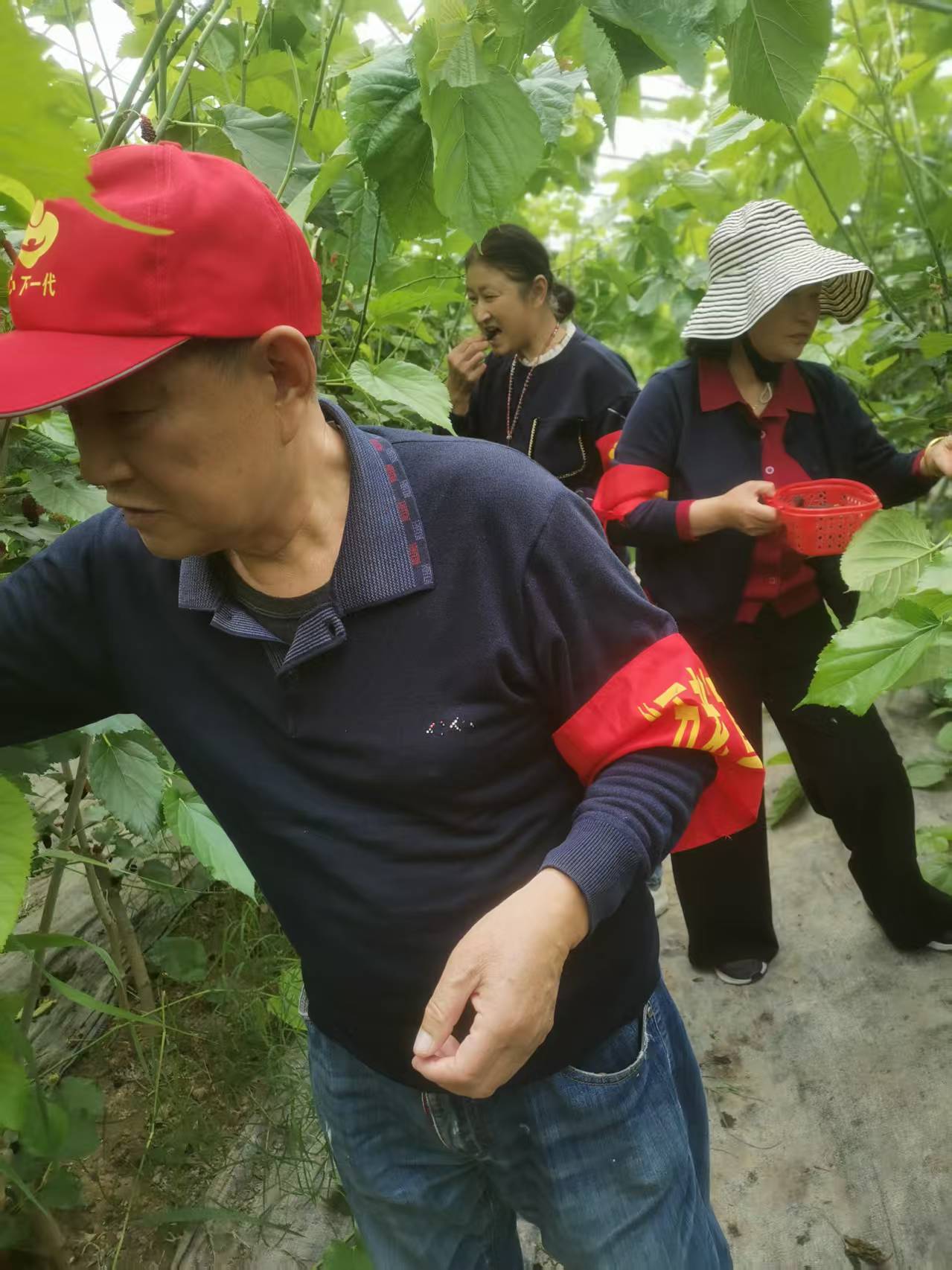 1745743454333113.jpg 156a40cce21405edd7061345a3cc408.jpg