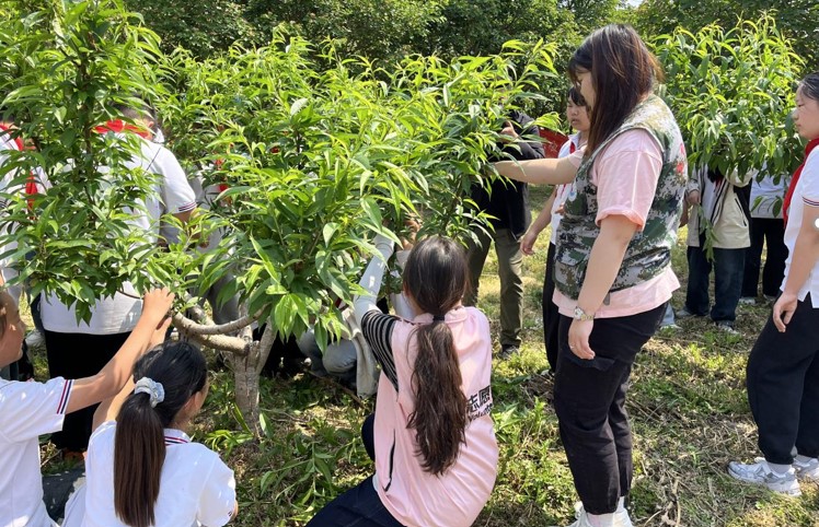 1745885065804004.jpg 1745885065804004.jpg