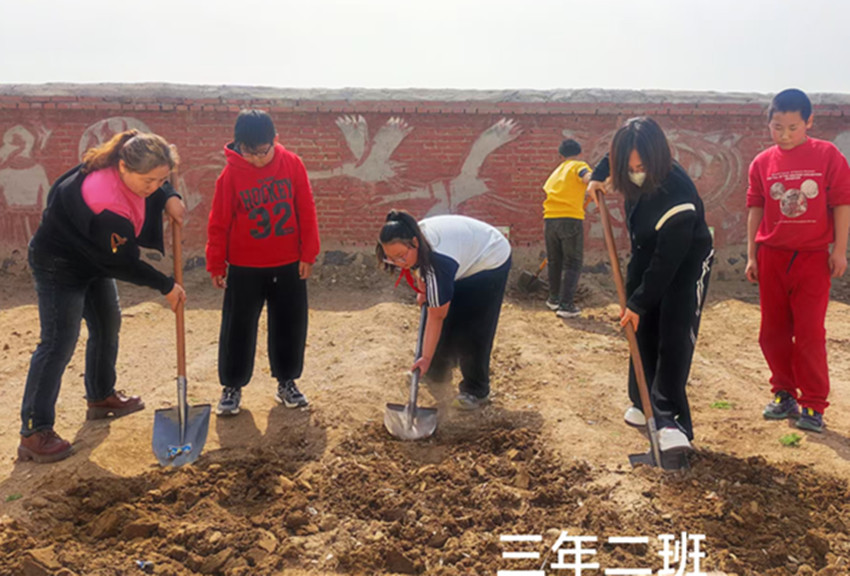 1746605774406239.jpg 元宝山区马蹄营子小学快乐春耕,播种希望活动照片12_副本.jpg