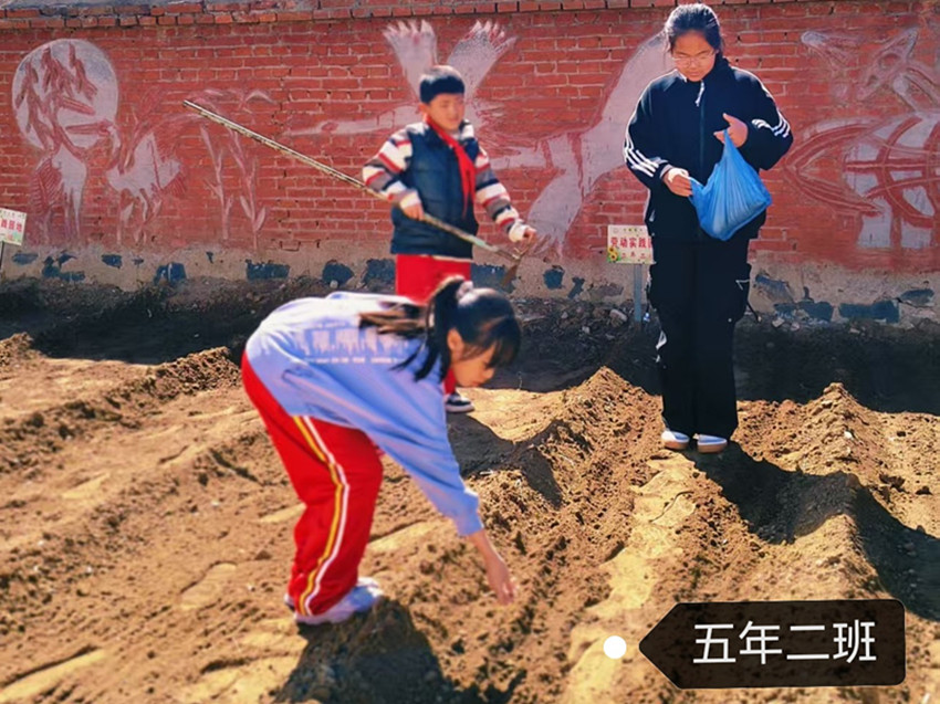 1746605809501924.jpg 元宝山区马蹄营子小学快乐春耕,播种希望活动照片8_副本.jpg
