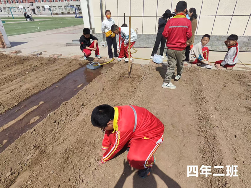 1746605872617455.jpg 元宝山区马蹄营子小学快乐春耕,播种希望活动照片3_副本.jpg