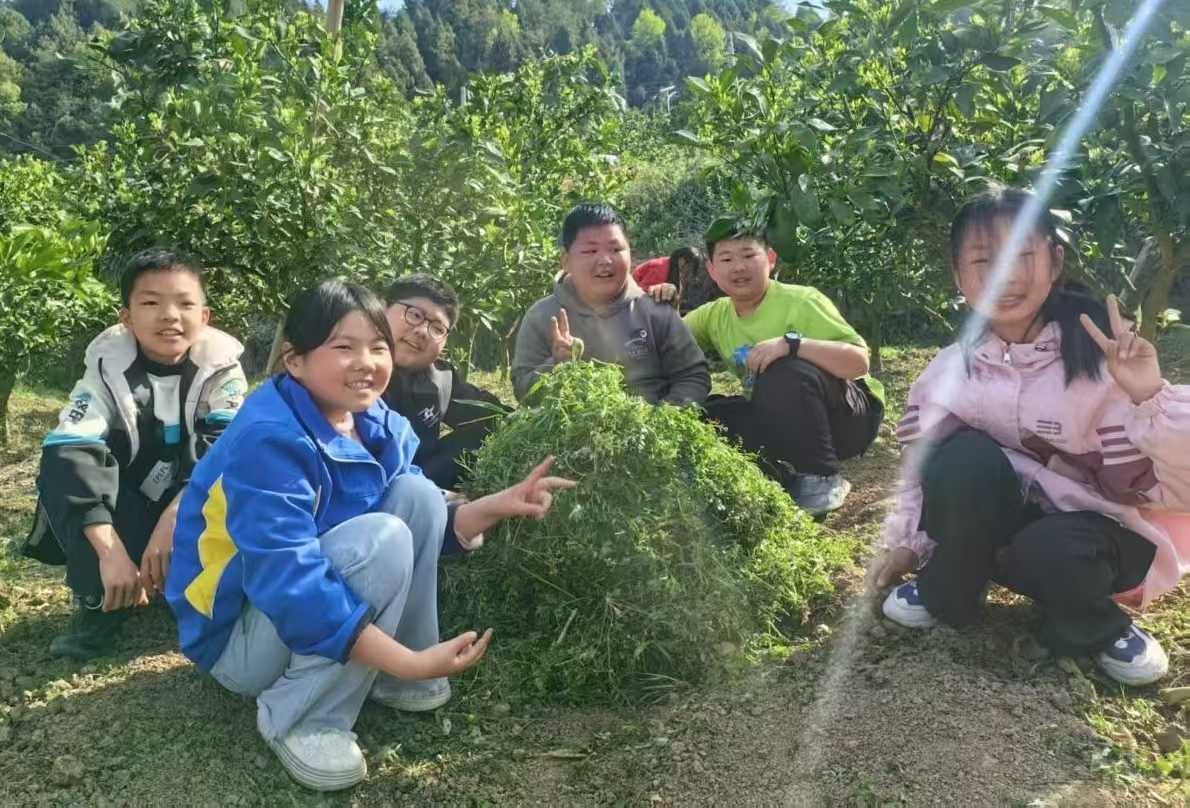 1747018981683350.jpg 微信图片_20250512110139.jpg