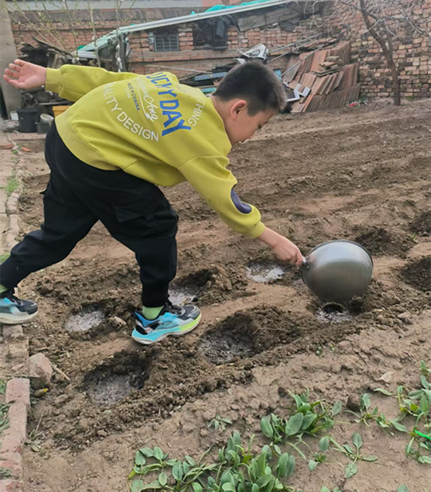 1747117963394431.jpg 元宝山区山前学校关工委五月劳动系列活动照片1_副本.jpg