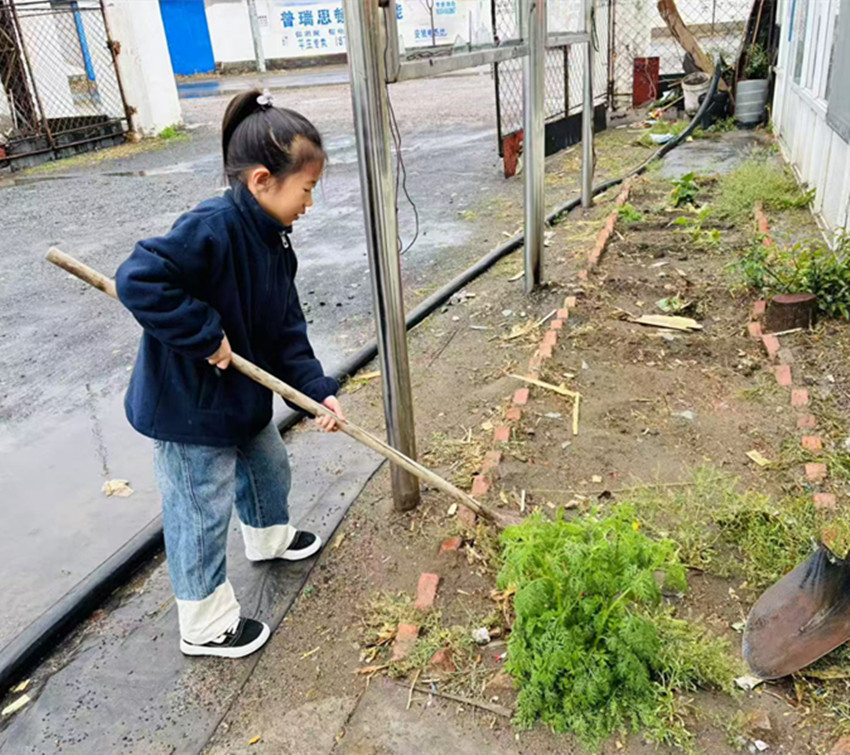 1747118059632556.jpg 元宝山区山前学校关工委五月劳动系列活动照片4_副本.jpg
