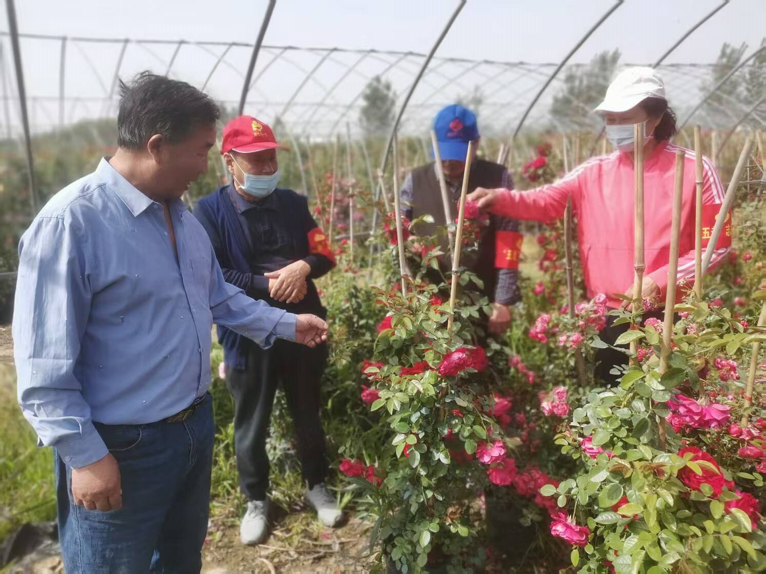 1747219974819436.jpg e858c4dd2c446a2223478d6eb7ef94d.jpg