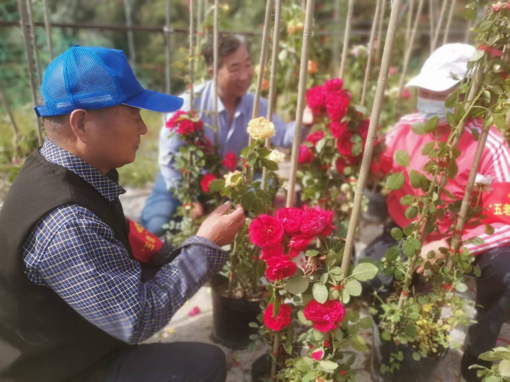 1747220132326839.jpg 7100431129887876580696b980a6dc4.jpg