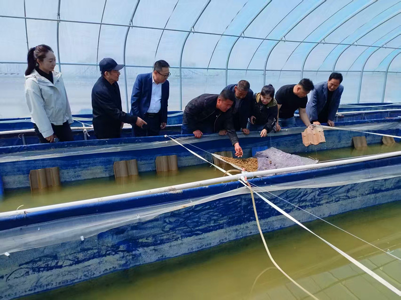 1747470807870537.jpg 454fe2373eac3fac4b29ef5230caeac.jpg