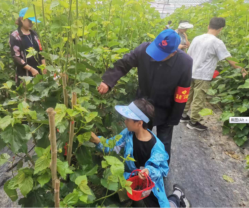 1747643225839107.png ffbc0fe0e945fa3d0e27f65eea664bd.png