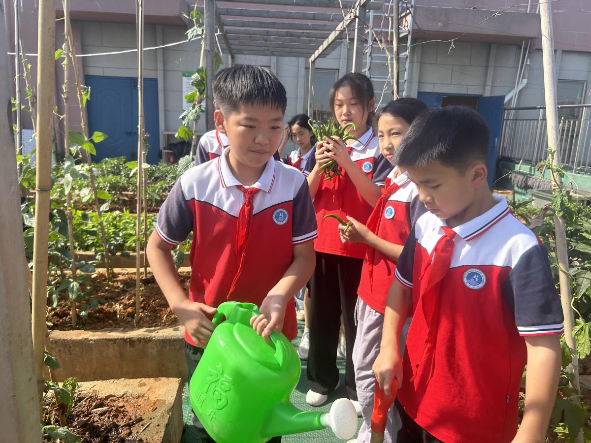 1747982056354709.jpg 微信图片_20250520223858.jpg