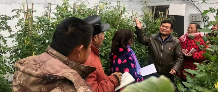 1748487900597955.jpg 02.jpg