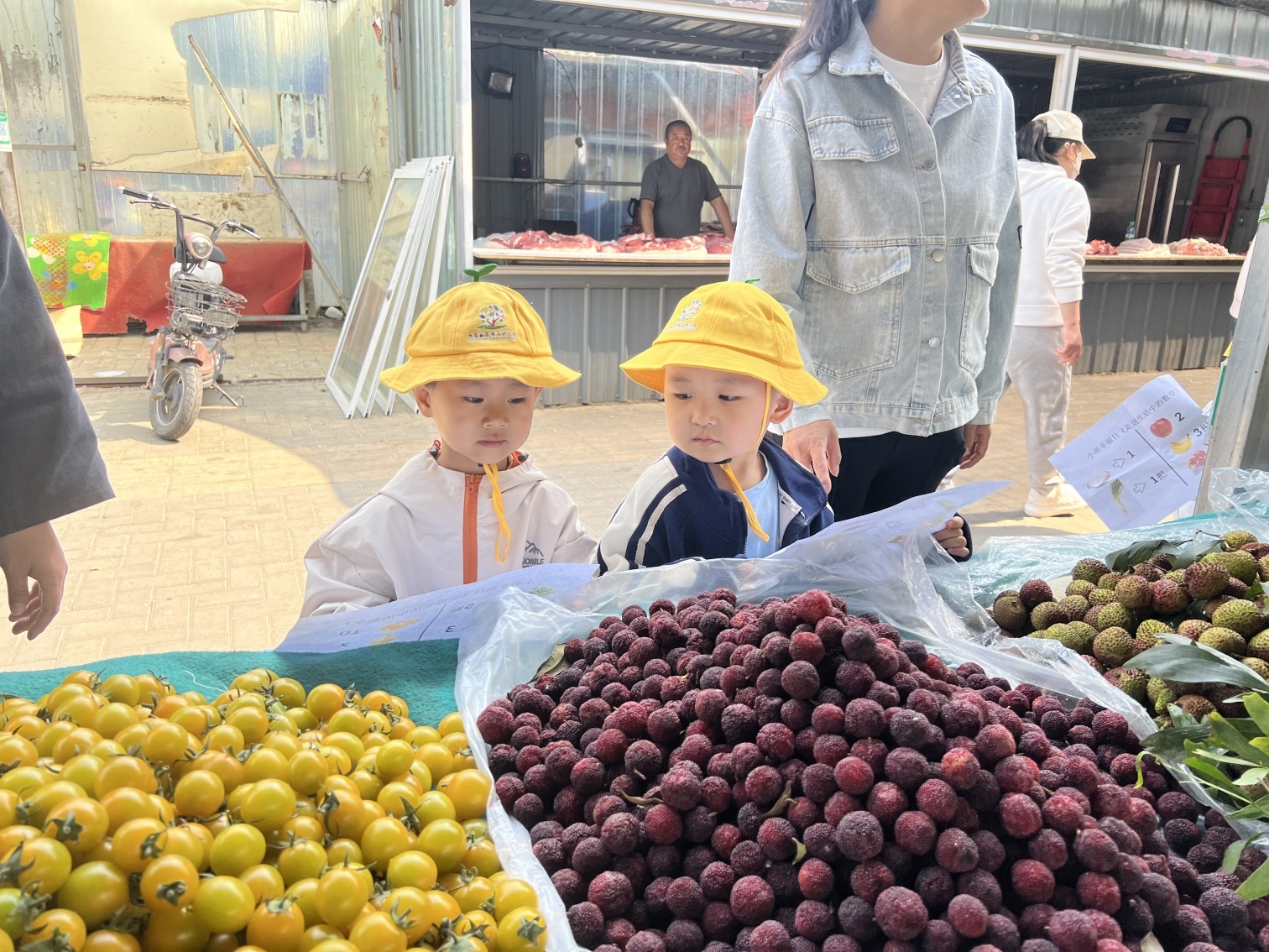 1748570958499509.jpg 元宝山区第三幼儿园“菜场大探秘,幼儿趣体验活动照片4_副本_副本.jpg