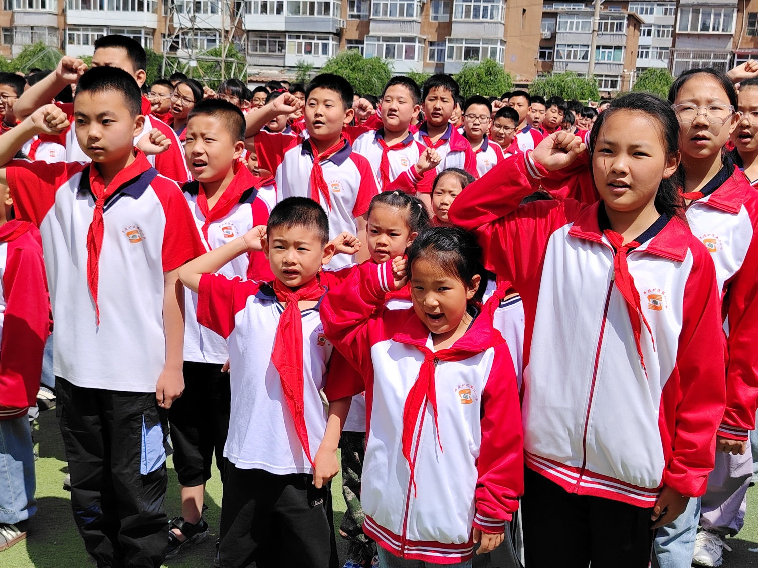 1749178337730803.jpg 元宝山区平矿二小“队旗飘扬筑梦想 童心向党展未来”活动照片12_副本.jpg