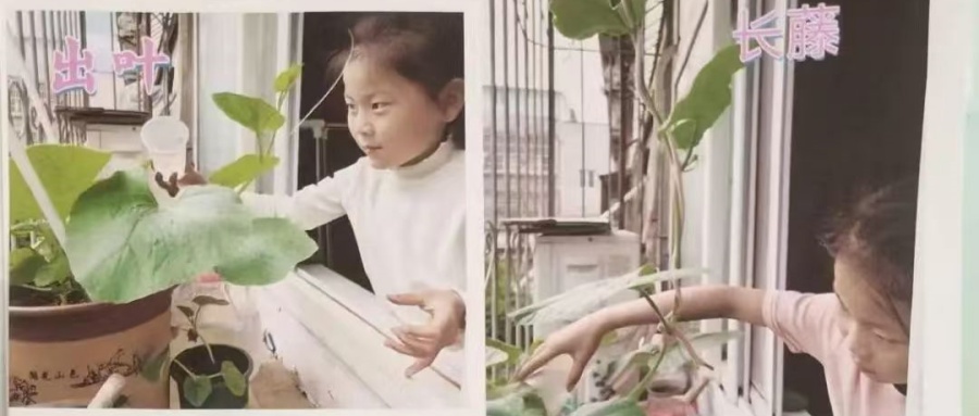 1749261234370214.jpg 02.jpg