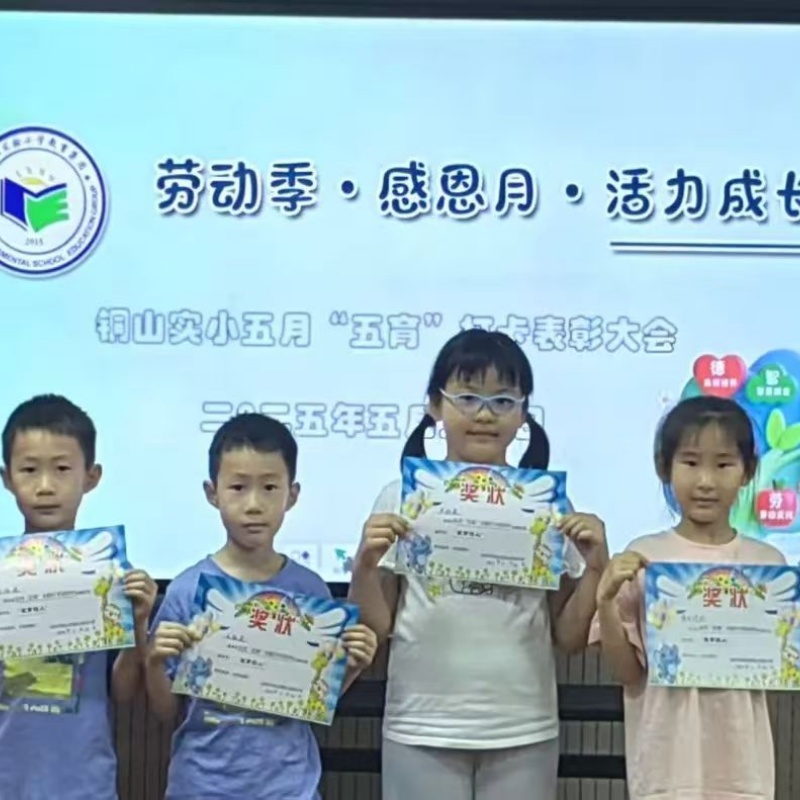 1749261269708721.jpg 04.jpg