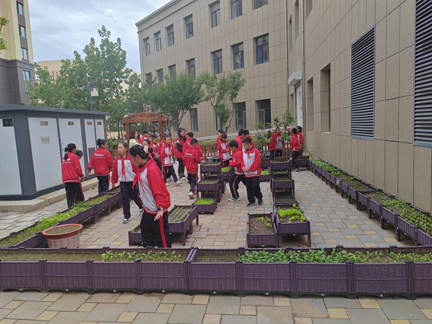 1750303830794585.jpg 元宝山区平庄西城街道新景四季东社区、西城小学关工委开展校社联动播种希望,科普同行共育新苗活动照片2_副本.jpg