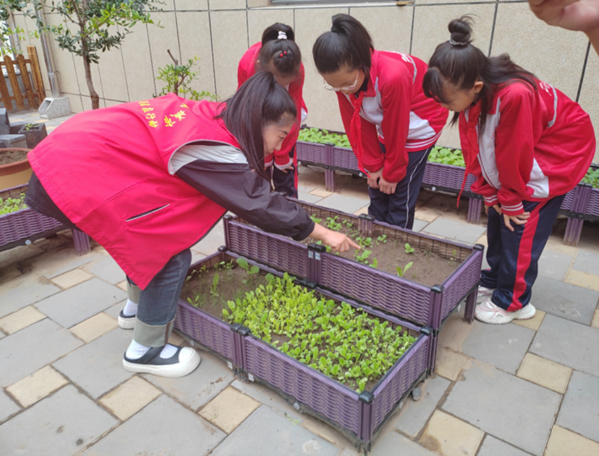 1750303866905802.jpg 元宝山区平庄西城街道新景四季东社区、西城小学关工委开展校社联动播种希望,科普同行共育新苗活动照片4_副本.jpg