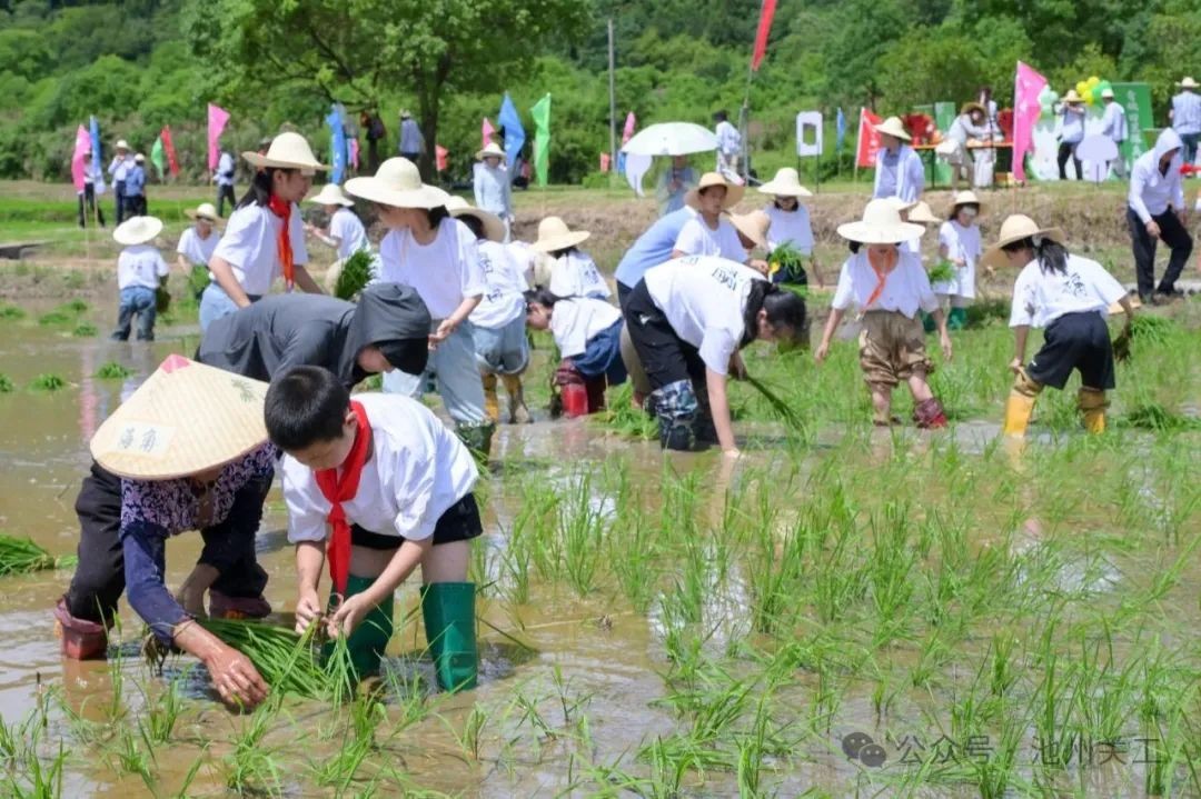 1751017533226250.jpg 640 (1).jpg