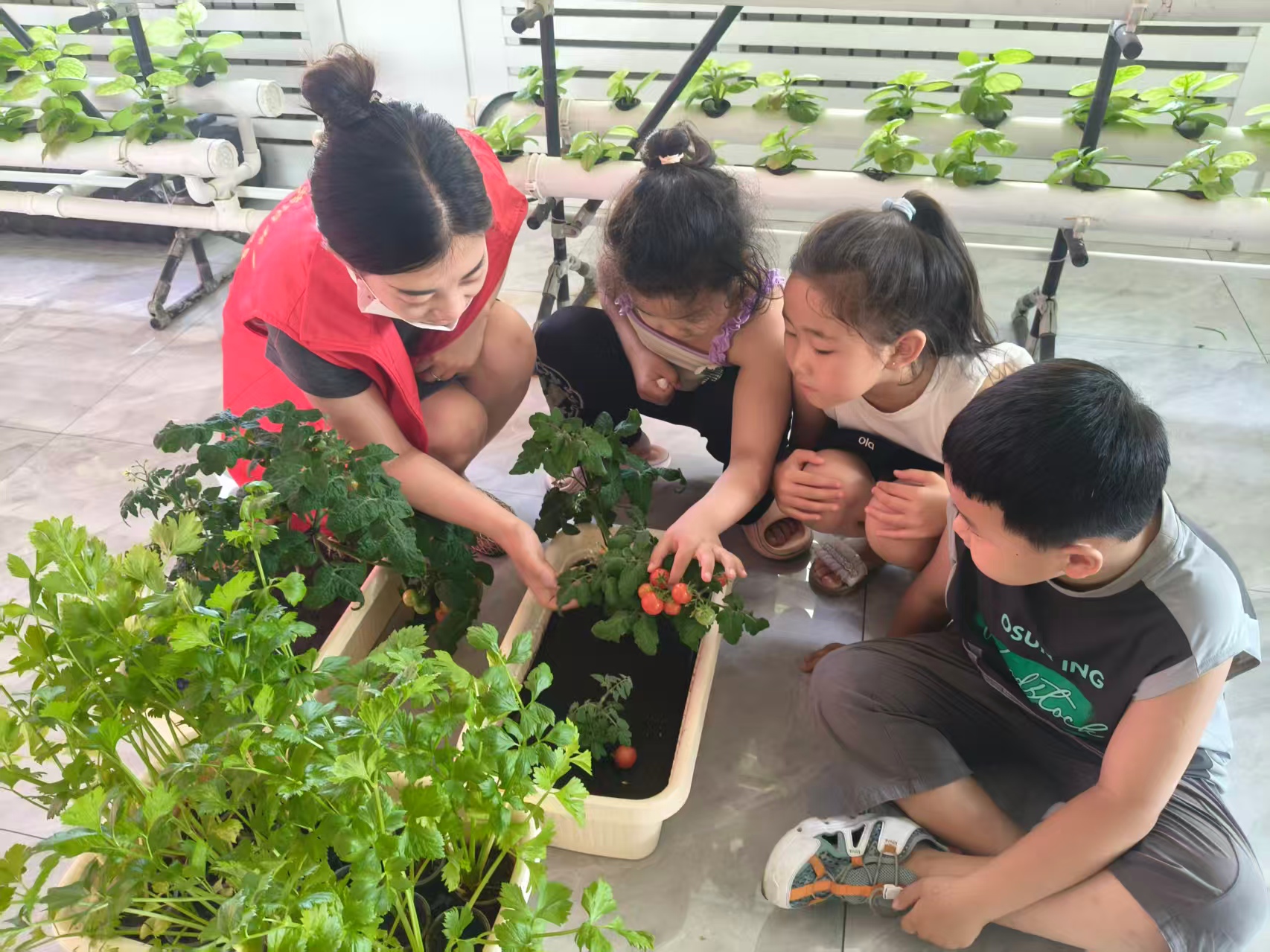 1753146792794663.jpg 元宝山区西城街道新景四季东社区关工委暑期儿童采摘活动照片4.jpg