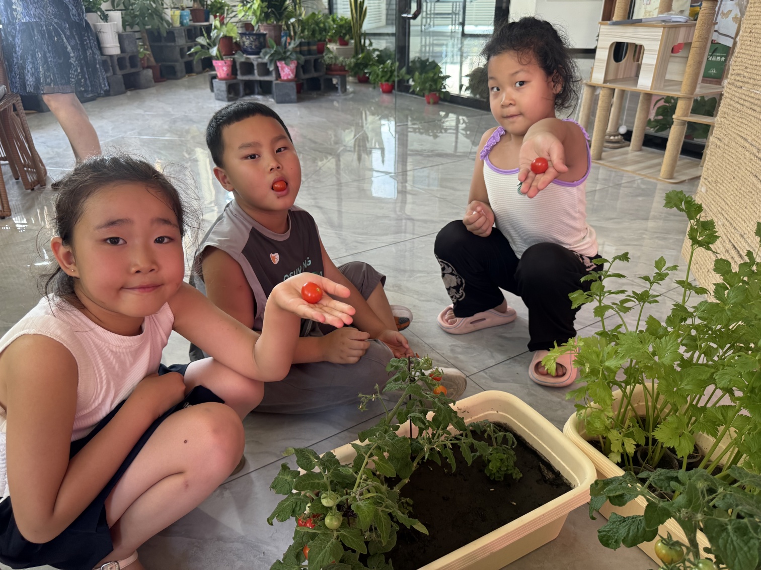 1753146968112761.jpg 元宝山区西城街道新景四季东社区关工委暑期儿童采摘活动照片3_副本.jpg