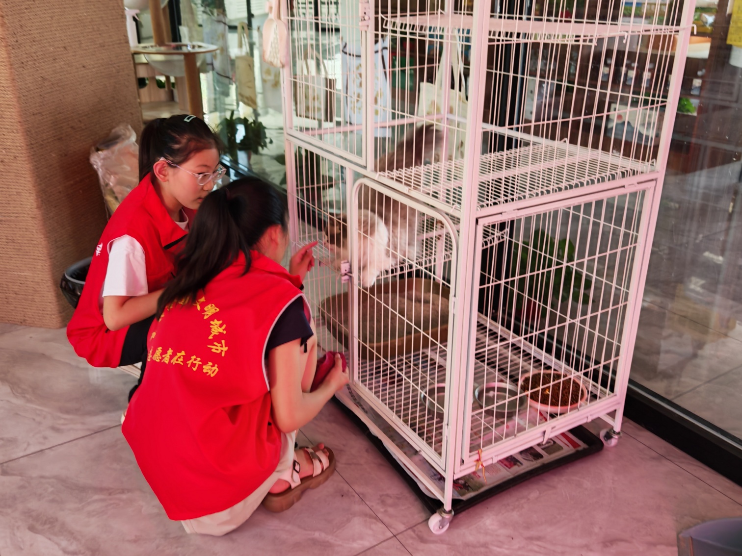 1753667861492341.jpg 元宝山区西城街道新景四季东社区“小小治理家 社区大管家”活动照片4_副本.jpg