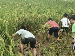 1756190423416193.png 微信图片_20250826142541.png