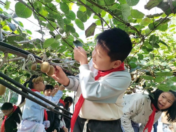 1763367492716668.jpg 图片 1.jpg