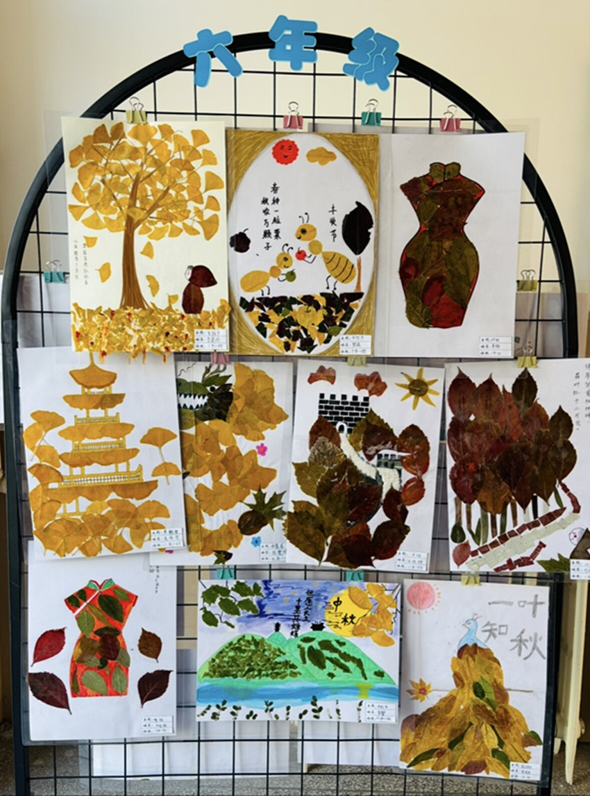 1763710029896968.jpg 马林小学关工委“拾叶创美白杨下‘树·悦’启智向未来”树叶贴画活动照片9_副本.jpg