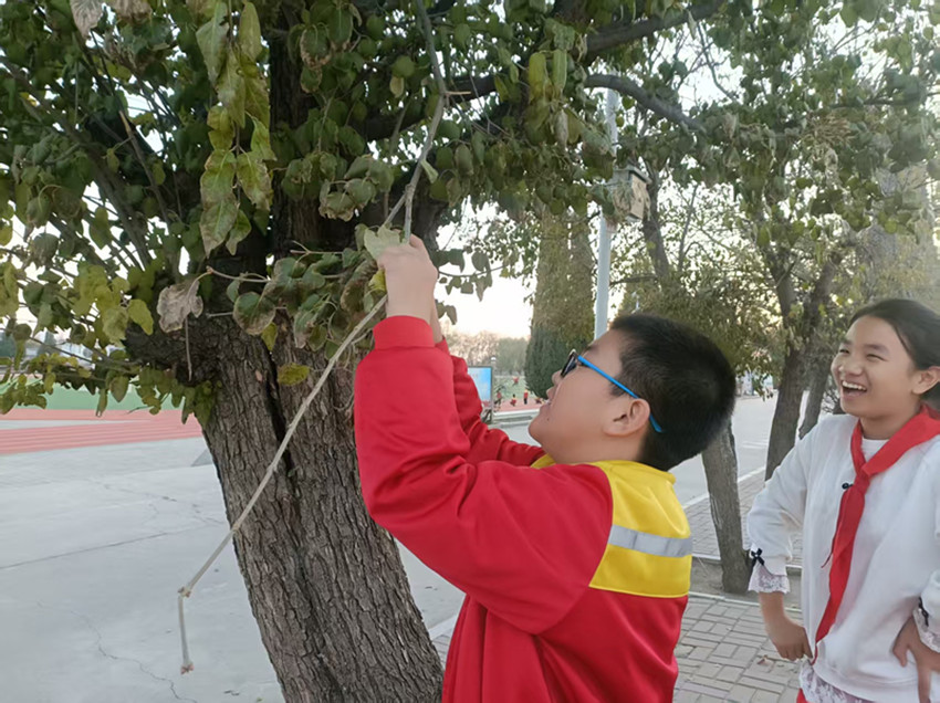 1763968977549323.jpg 元宝山矿区小学“一树一班一世界”活动照片4_副本.jpg