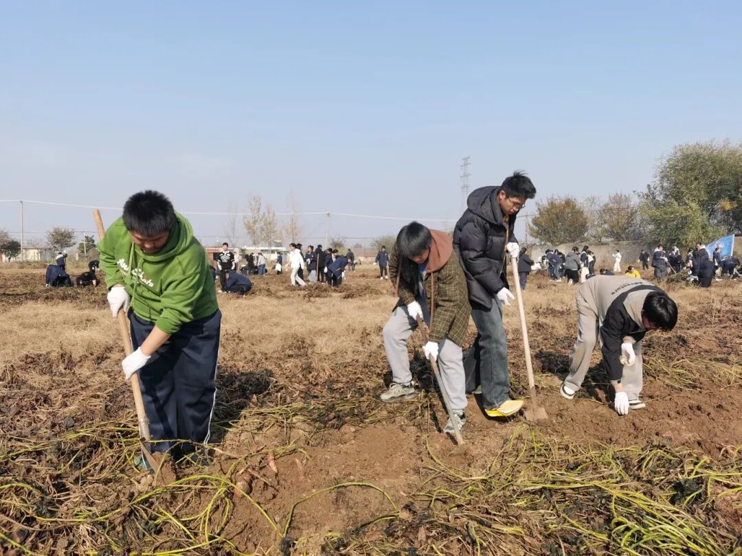 1764033254364779.jpg 劳动场景.jpg