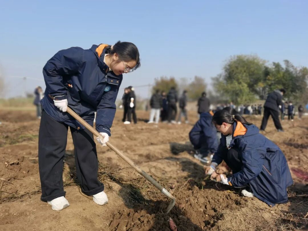 1764033283933621.jpg 劳动场景2.jpg