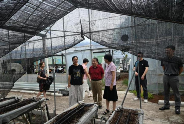 1764308083319723.png 图片2.png