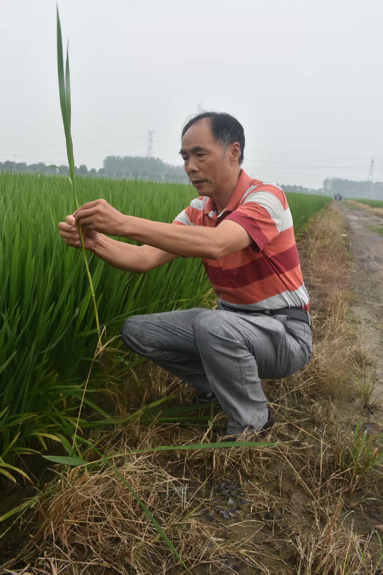 1767837999706655.jpg 图片1.jpg