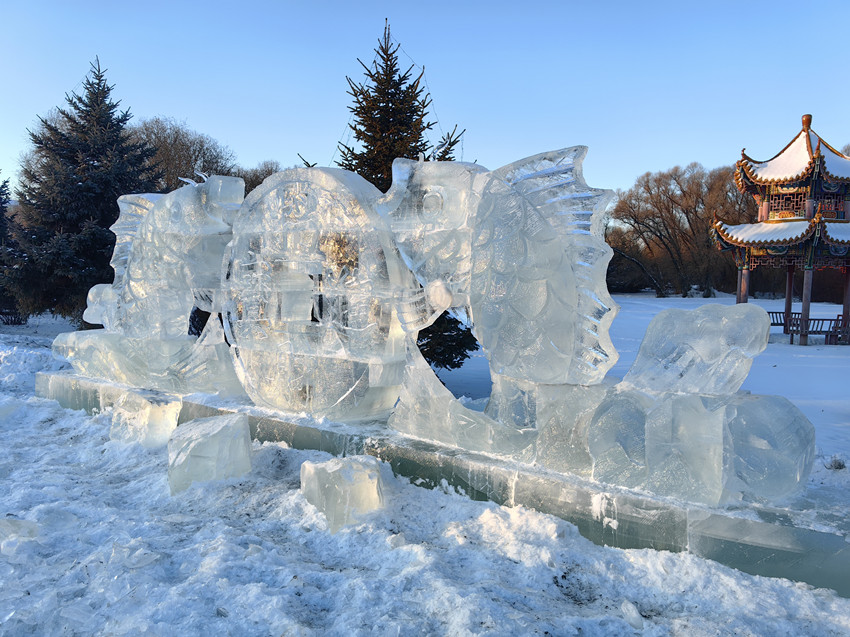 1767859683190799.jpg 逊克图.jpg