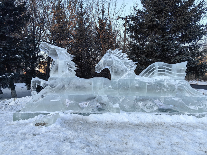 1767859786496977.jpg 赵图1.jpg