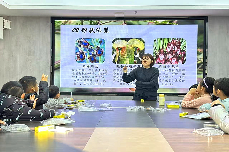 1767925140104264.jpg 江苏省南京市玄武区红山街道红山社区关工委:探秘生物隐身术,解码自然魔法书 (1).jpg