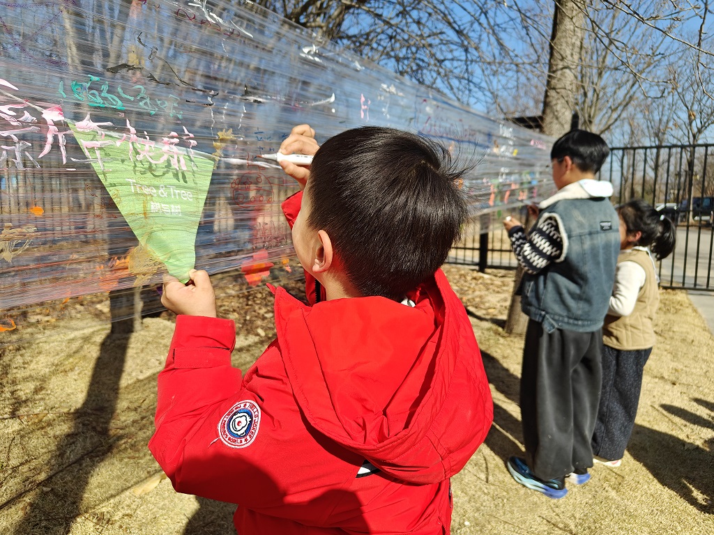 1768186172867156.jpg 微信图片_20260112092742_459_141.jpg