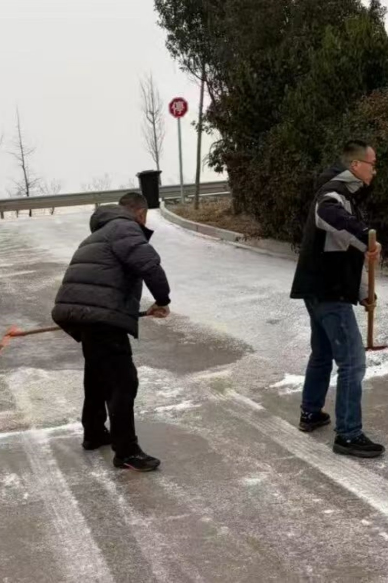 1768878223244535.jpg 03.jpg