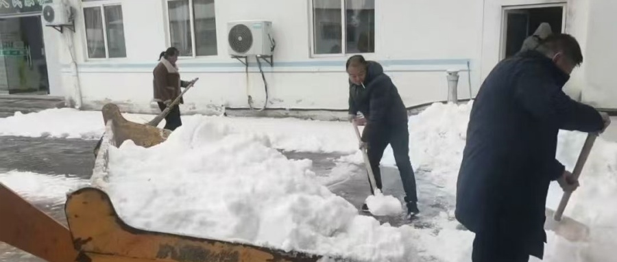 1768880753808664.jpg 004.jpg