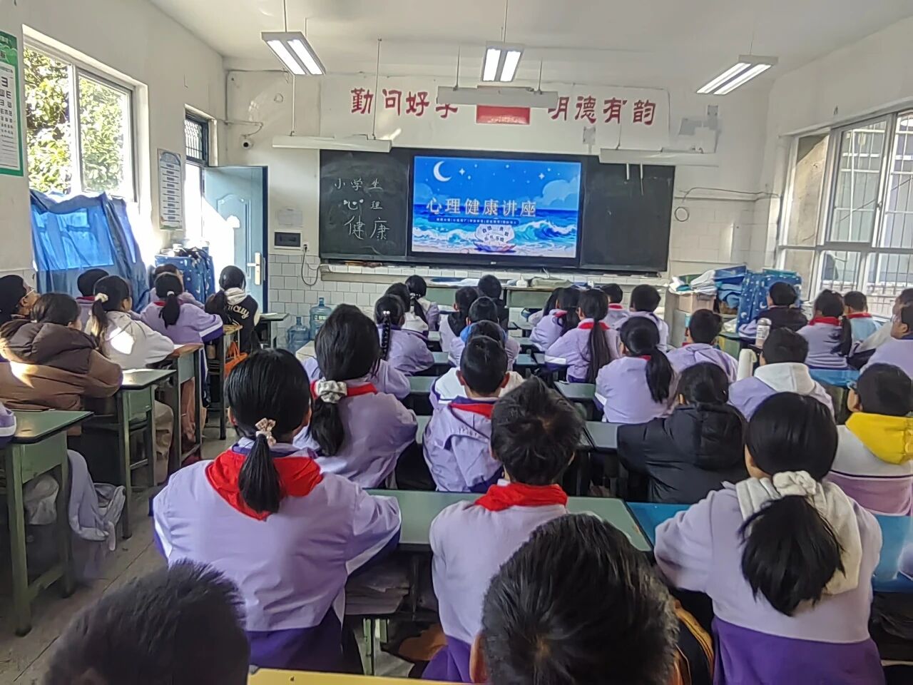 1768980553159291.jpg 12.jpg