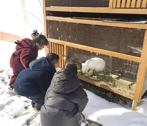 1769067277735958.jpg 02a4105c74507d59912b04791b4dcc91_看图王.jpg