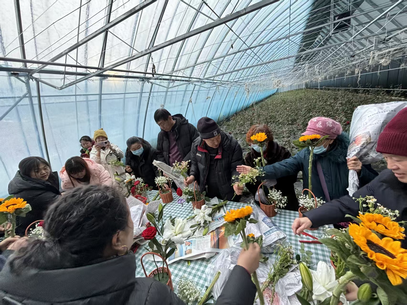 1769154753235890.jpg 微信图片_20260123140330.jpg