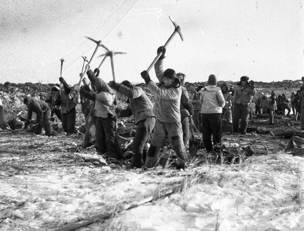 1770015447677117.jpg 2619_副本.jpg