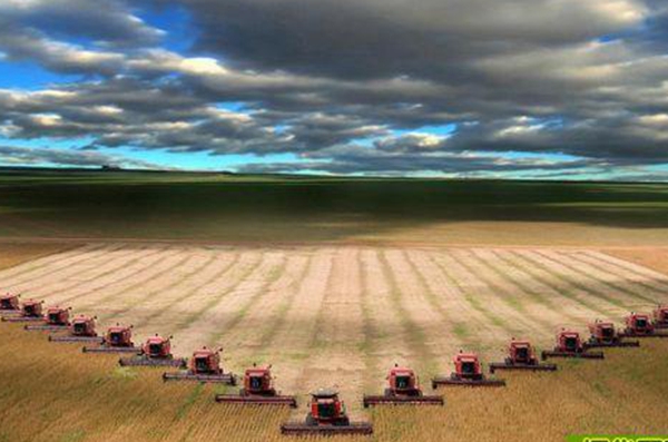 1770015797220450.jpg 50_副本.jpg