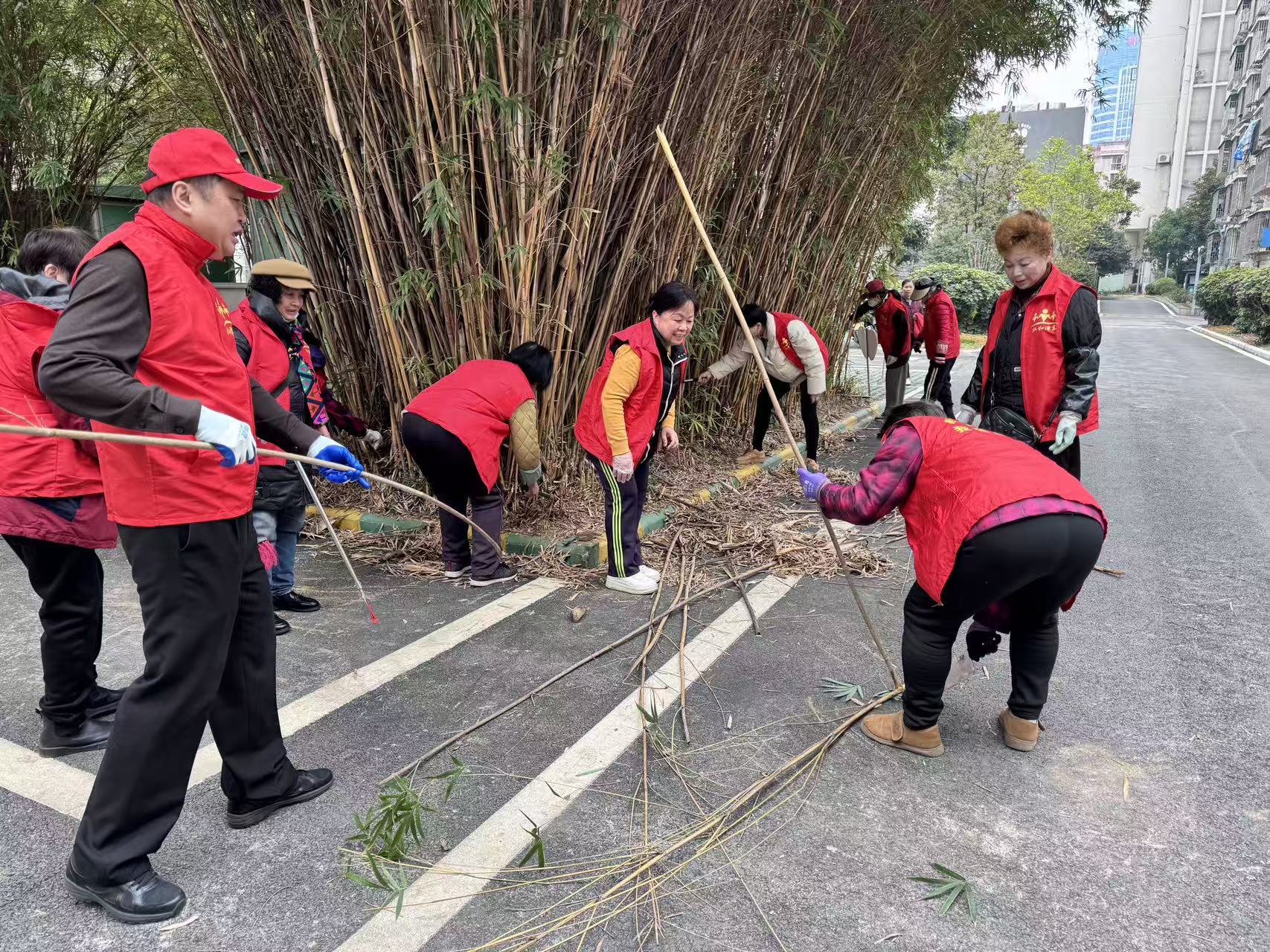 1770271072260121.jpg W020260205334436689809.jpg